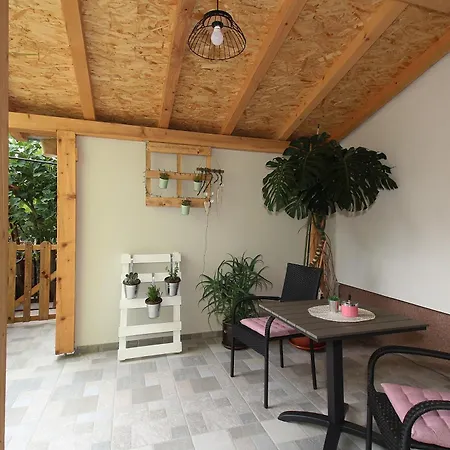 Apartment Viola Zadar